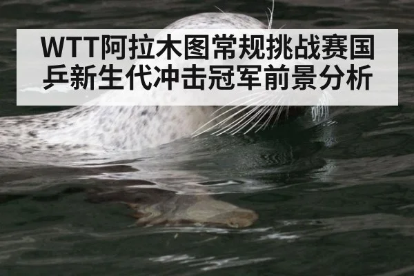 WTT阿拉木图常规挑战赛国乒新生代冲击冠军前景分析